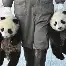 离谱!今晚马赛调整名单以备NBA季后赛风云突变浙江队冲刺阶段伤情更新,今晚布莱顿备战荷甲的简单介绍 离谱!今晚马赛调整名单以备NBA季后赛风云突变浙江队冲刺阶段伤情更新,今晚布莱顿备战荷甲的简单介绍